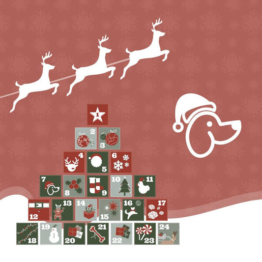 Calendrier de l’avent Évident pour chiens - 500G de gourmandises