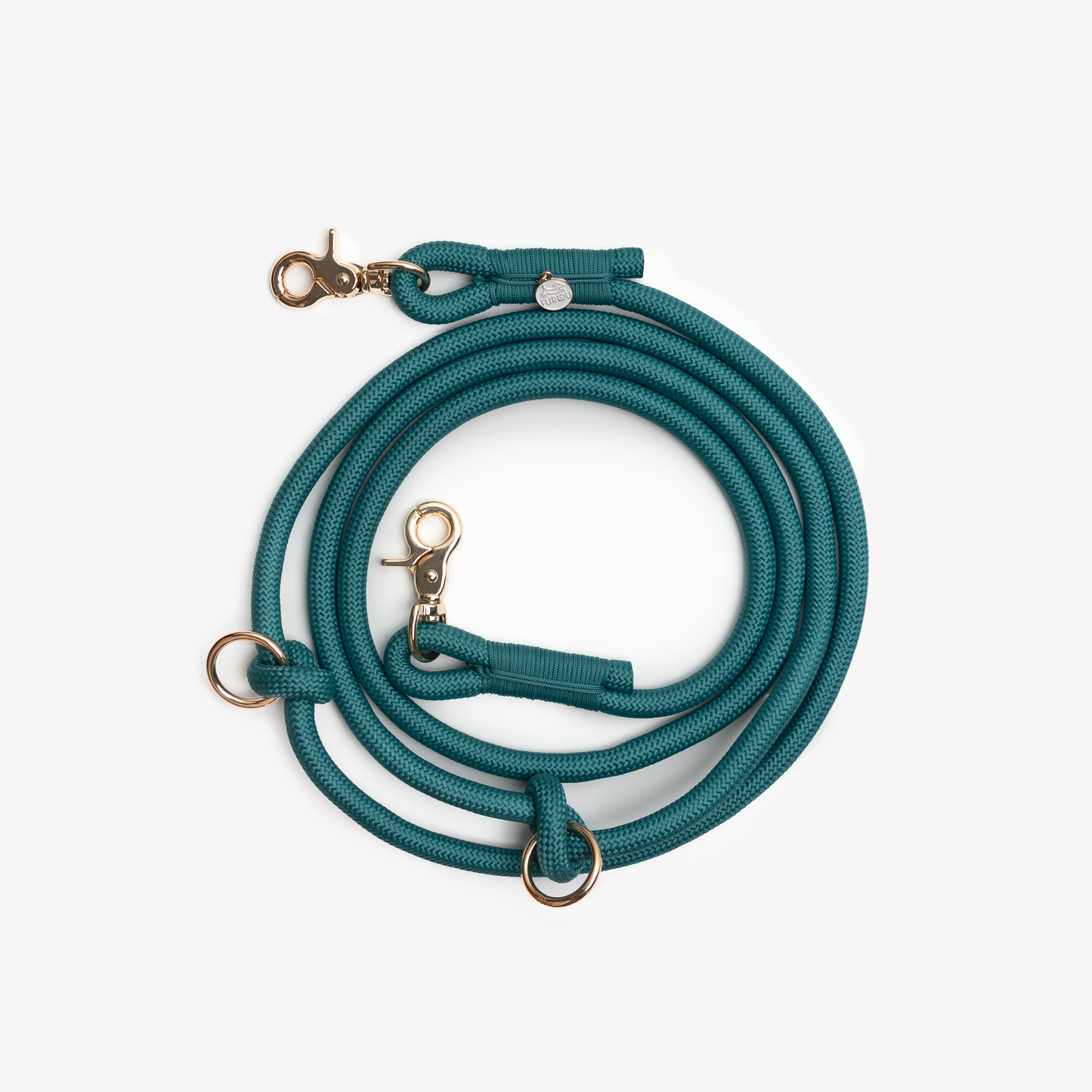 Laisse mains libres - Bleu