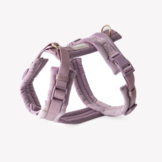 Harnais confort en velours - Lilas