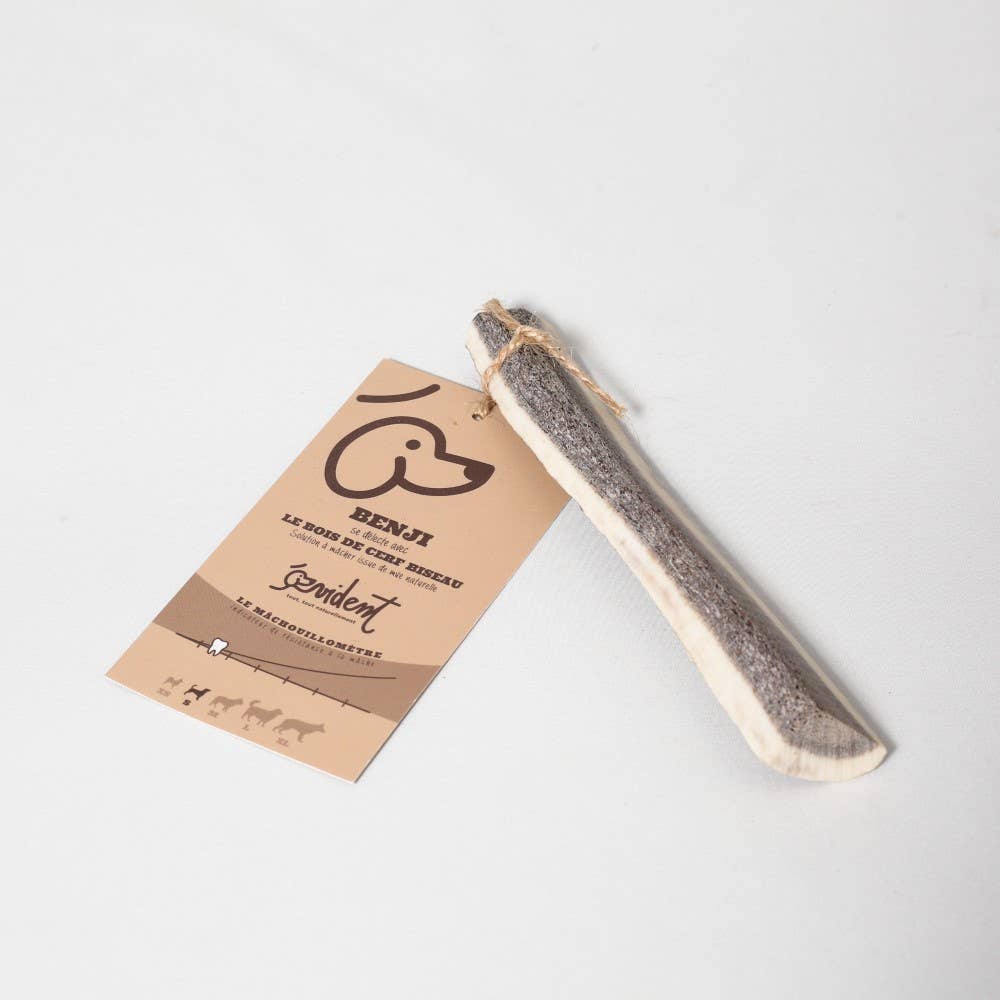 Evident-Bois de cerf biseau pour chien