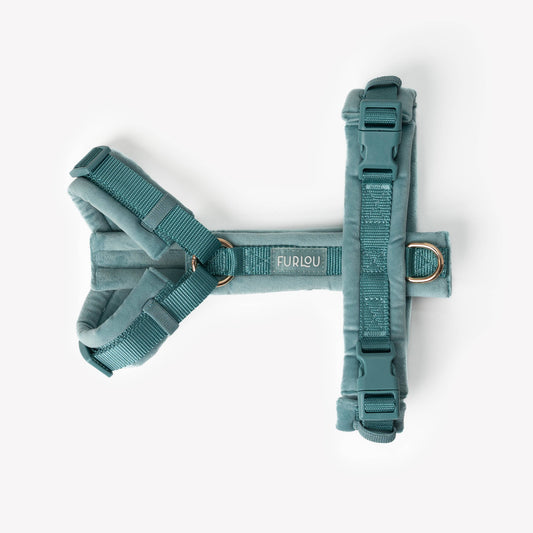 Harnais confort en velours - Bleu