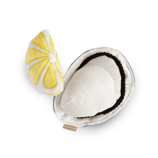 Jouet de fouille Huître et Citron
