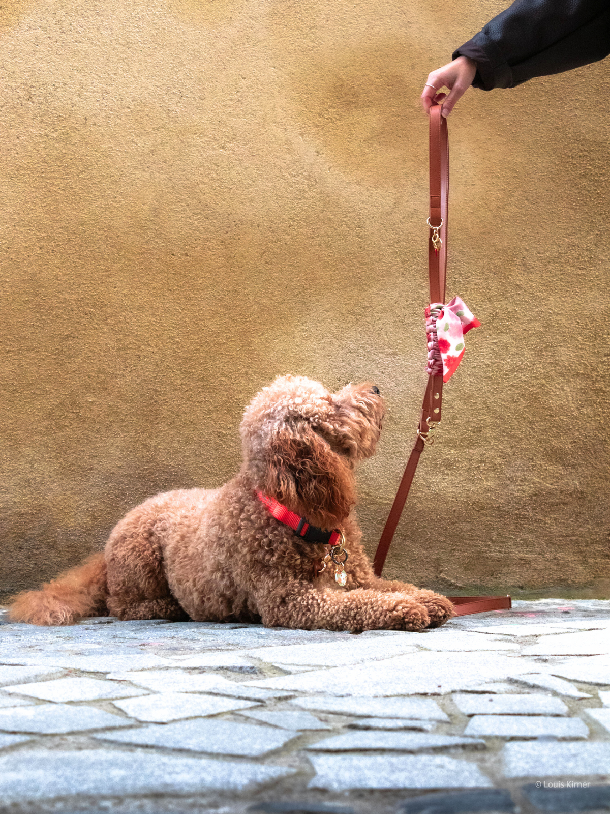 Laisse-bandana Mocka multiposition en simili cuir