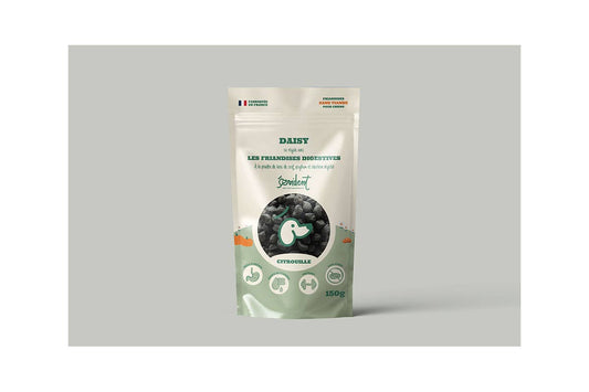 Evident-Friandises digestives pour chiens