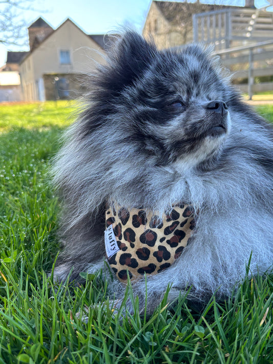 Bandana Léopard 🐆