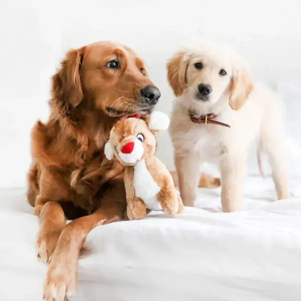 Peluche Renne - Jouet de Noël pour chiens