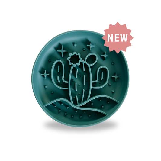 Gamelle anti-glouton Cactus vert