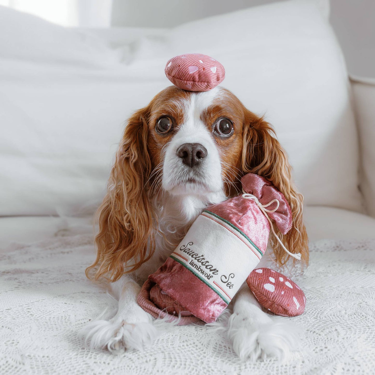 Jouet pour chiens - saucisson sec