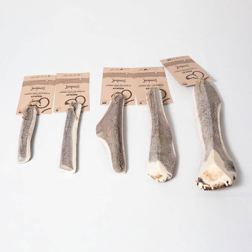 Evident-Bois de cerf biseau pour chien