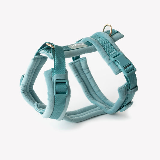 Harnais confort en velours - Bleu