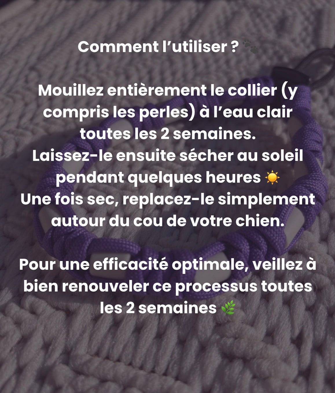 Collier anti-tiques en perles EM