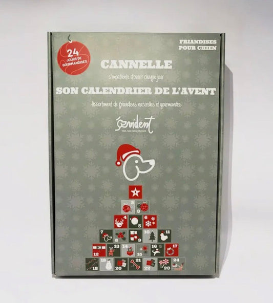 Calendrier de l’avent Évident pour chiens - 500G de gourmandises