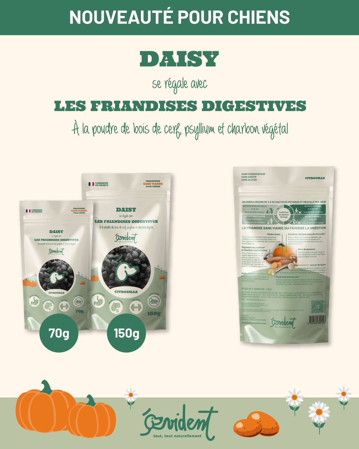 Evident-Friandises digestives pour chiens