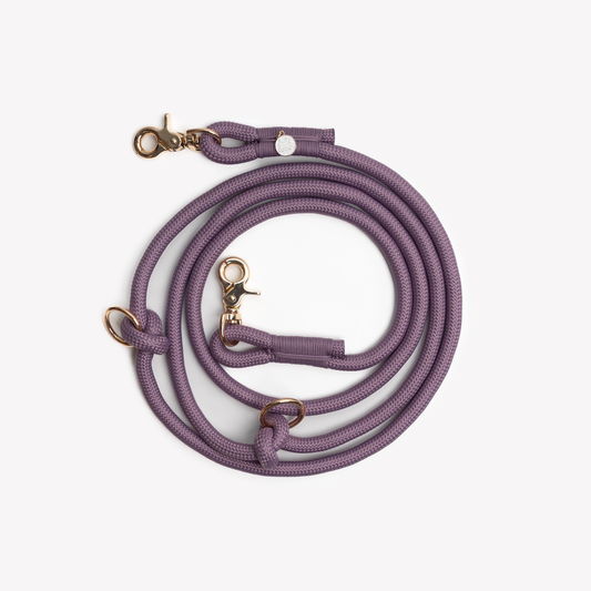 Laisse mains libres - Lilas