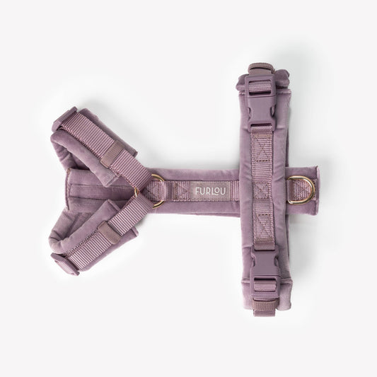 Harnais confort en velours - Lilas
