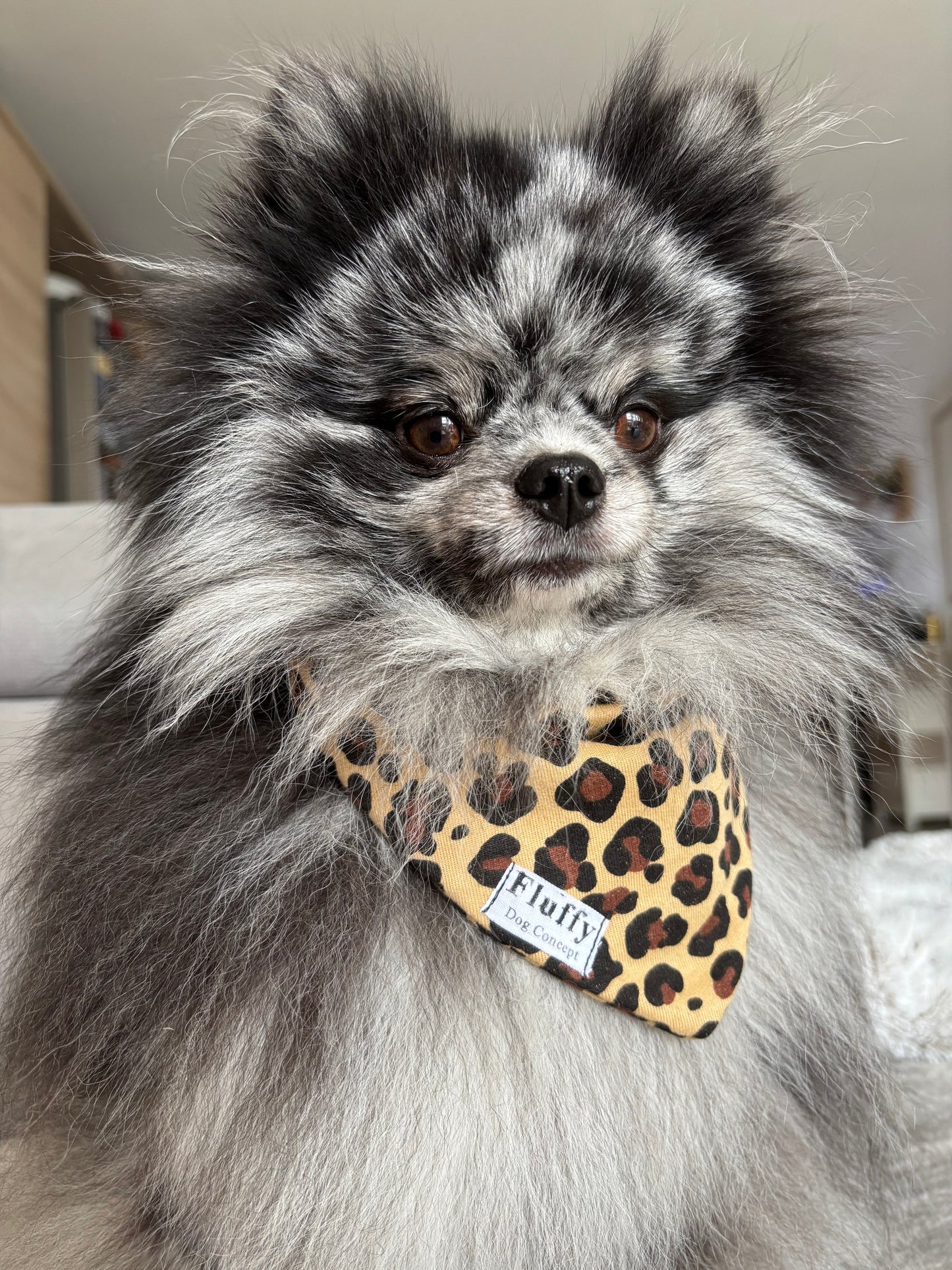 Bandana Léopard 🐆