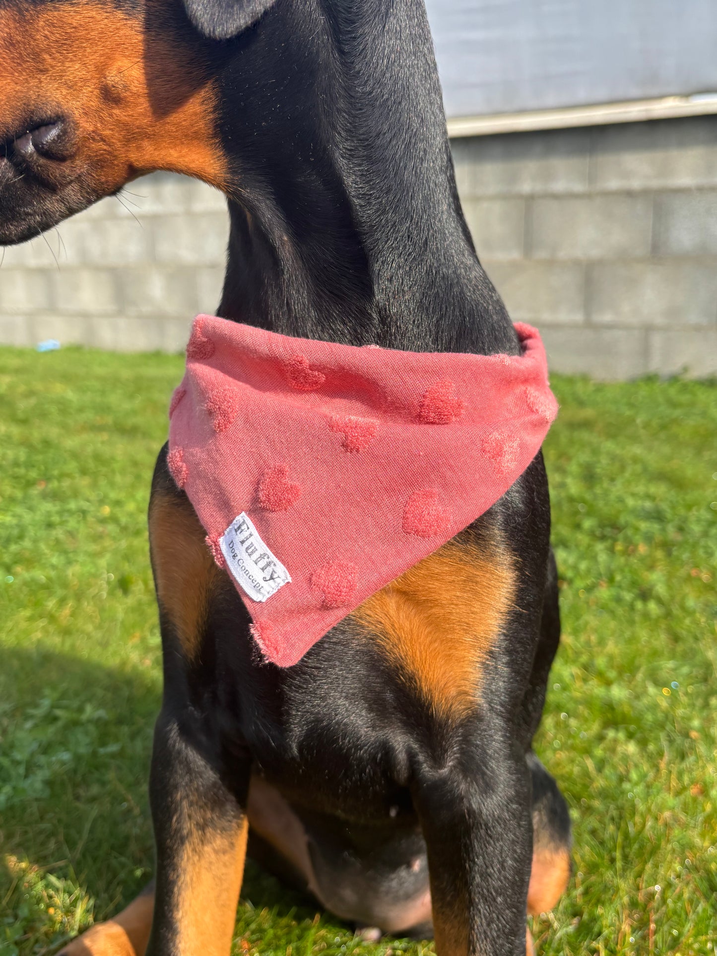 Bandana Cœur 🩷