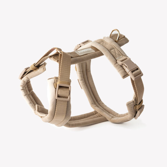 Sable - Harnais pour chien en velours