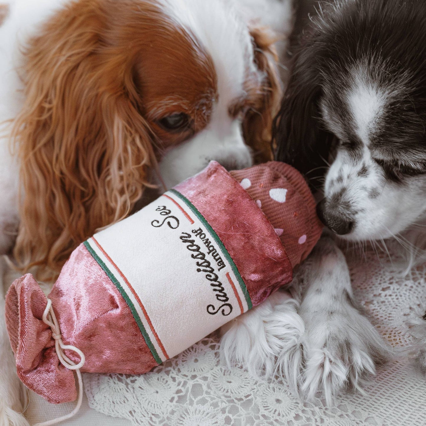 Jouet pour chiens - saucisson sec