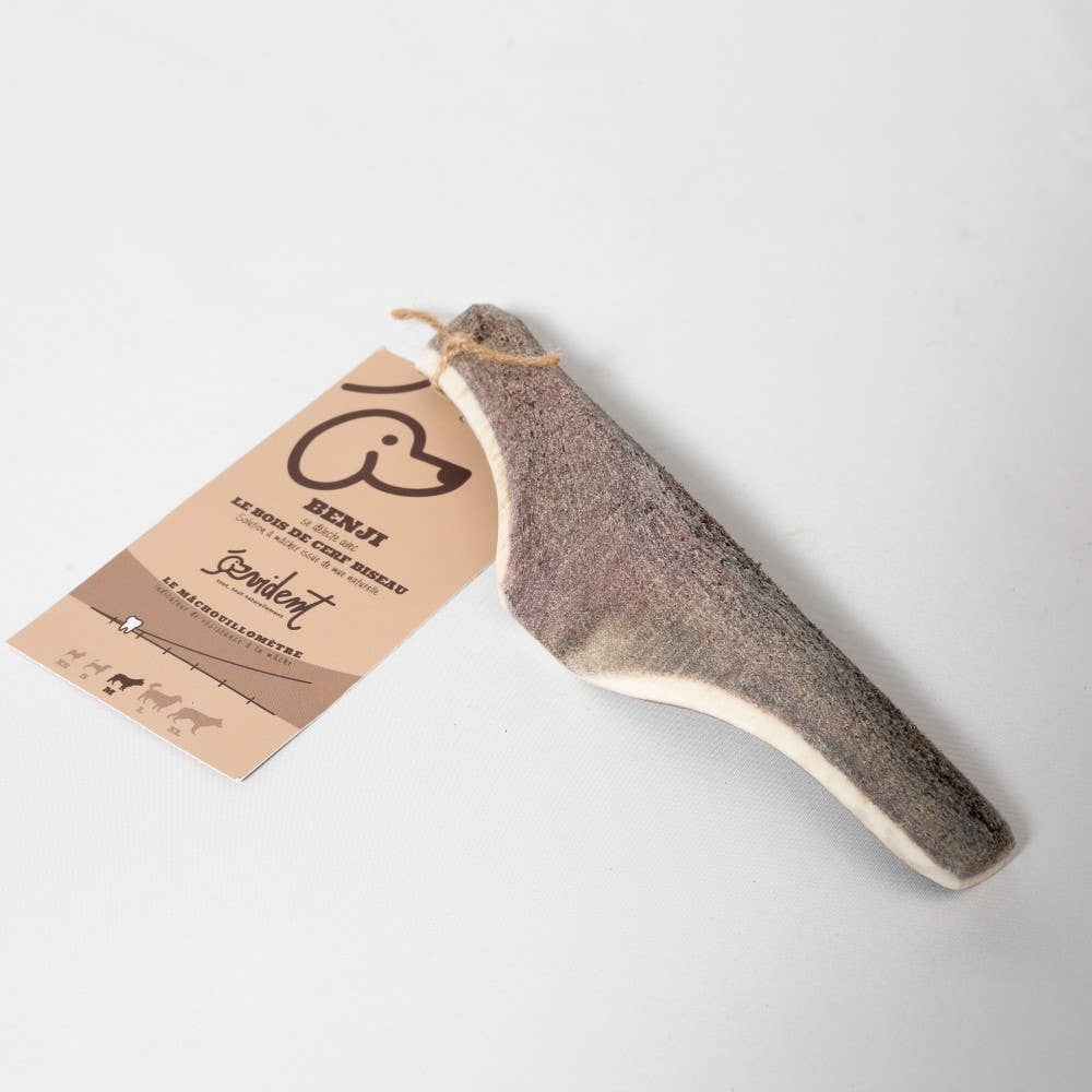 Evident-Bois de cerf biseau pour chien