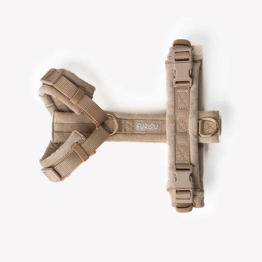 Sable - Harnais pour chien en velours