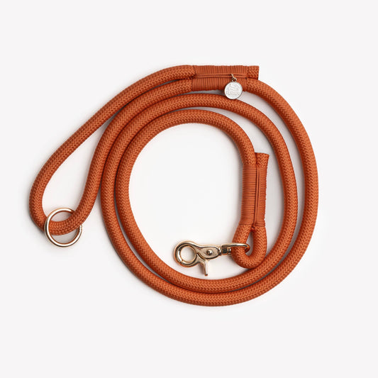 Laisse mains libre - Terracotta